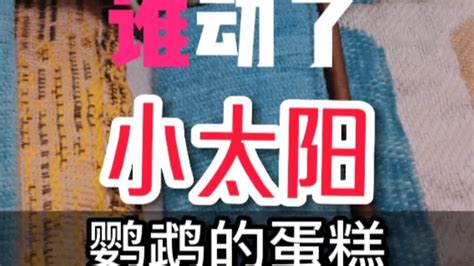 饿水命人和什么命比较搭？,第3张